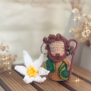 Mini São José